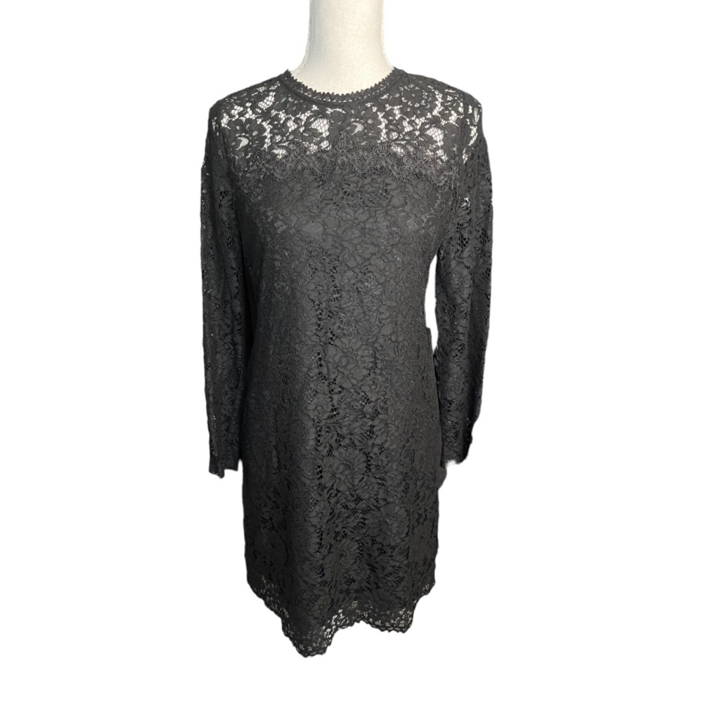 CC Collect Black lace Long Sleeve Mini Dress